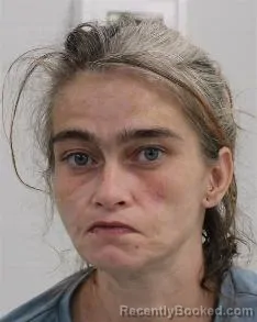 Mugshot of HAYLEY RENAE WILTROUT booked in Fayette County, Pennsylvania on April 14, 2026