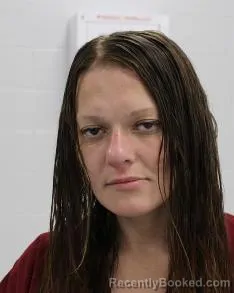 Mugshot of Angelica Lynn Lawver booked in Fayette County, Pennsylvania on July 27, 2026