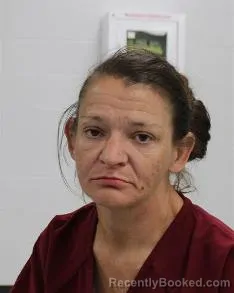 Mugshot of Joy Lynn Milliken booked in Fayette County, Pennsylvania on July 24, 2026