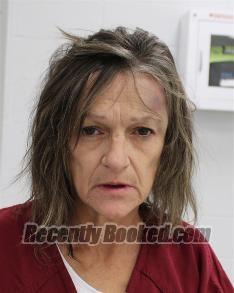 Mugshot of ROBIN DAWN HALL booked in Fayette County, Pennsylvania on June 8, 2026