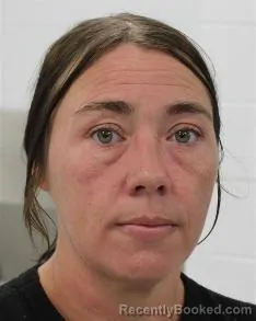 Mugshot of Amanda Desiree Drake booked in Fayette County, Pennsylvania on August 11, 2026