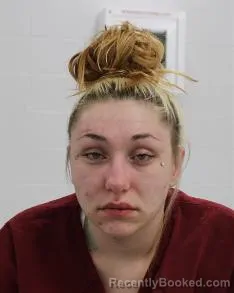 Mugshot of LINDSAY RENEE CUSTER booked in Fayette County, Pennsylvania on April 8, 2026