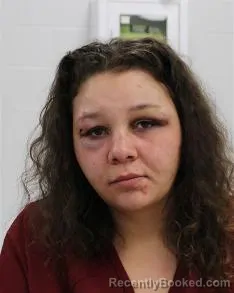 Mugshot of DESTINY NICOLE ERMLICK