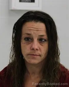 Mugshot of SHANNON NICOLE GIBSON booked in Fayette County, Pennsylvania on June 17, 2026