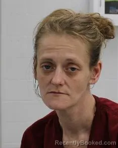 Mugshot of JENEANE STEFANIK