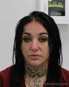 Mugshot of Melissa Leigh Burnett booked in Fayette County, Pennsylvania on August 14, 2026