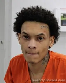 Mugshot of PHAROH SEWELL