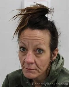 Mugshot of MICHELLE LYNN MCDONALD booked in Fayette County, Pennsylvania on July 20, 2026