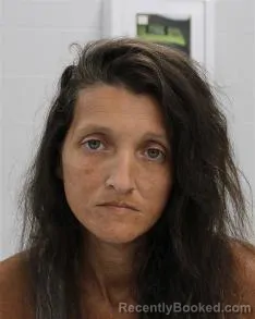 Mugshot of Erin Rene Hall booked in Fayette County, Pennsylvania on August 25, 2026