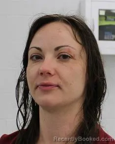 Mugshot of LACIE LYNN WILLIAMS booked in Fayette County, Pennsylvania on April 14, 2026