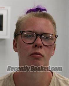 Booking photo from Fayette County, Pennsylvania
