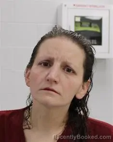 Mugshot of CHRISTY LYNN BRODY booked in Fayette County, Pennsylvania on April 4, 2026