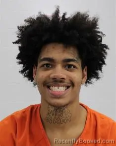 Mugshot of BRAEDON DICKINSON