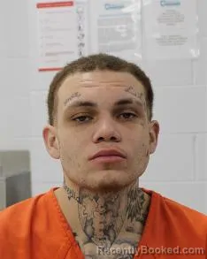 Mugshot of BRANDON FLINCHUM