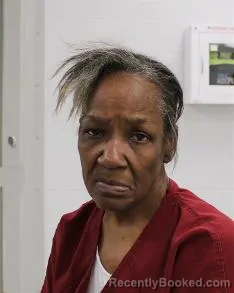 Mugshot of TAMMY WILCOX