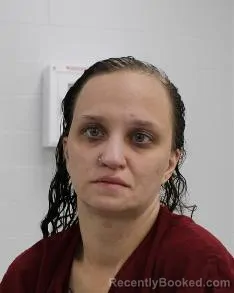 Mugshot of RACHEL GUSTAFSON