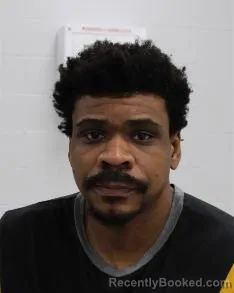 Mugshot of BRU DAVENPORT MARTIN