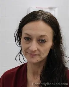 Mugshot of ASHLEY HIXSON