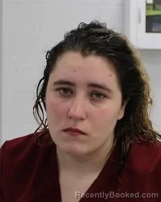 Mugshot of ANGEL NICOLE WILSON