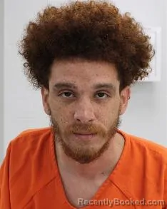 Mugshot of TRISTYNNE NELSON booked in Fayette County, Pennsylvania on March 31, 2026