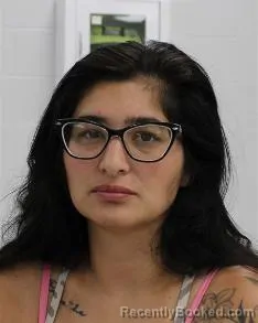 Mugshot of NINA LYNN SCIFRES booked in Fayette County, Pennsylvania on April 3, 2026