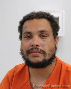 Mugshot of VINCENT JOHNSON booked in Fayette County, Pennsylvania on June 25, 2026