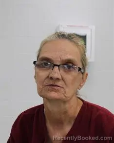 Mugshot of Joanne Ohler booked in Fayette County, Pennsylvania on July 24, 2026