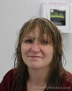 Mugshot of Shyanne Breez Labanish booked in Fayette County, Pennsylvania on July 28, 2026