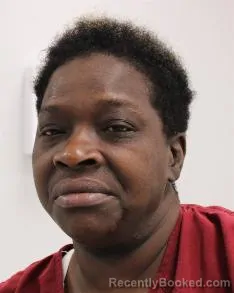 Mugshot of KIMBERLY BELLE LEE booked in Fayette County, Pennsylvania on April 30, 2026