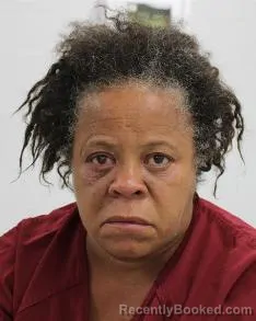 Mugshot of MARGARET IRENE SCOTT booked in Fayette County, Pennsylvania on May 29, 2026