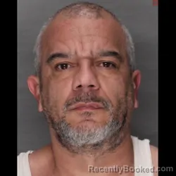 Mugshot of ANTHONY SCATURRO