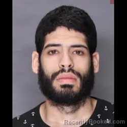 Mugshot of LUIS ROSA