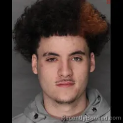 Mugshot of LUIS ALVARADO-REYES