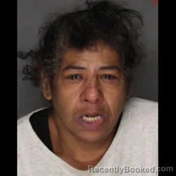 Mugshot of IVONNE DELAROSA
