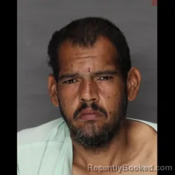 Mugshot of JOES NEGRON-ANCIANI