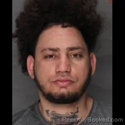 Mugshot of ALDIS BAEZ-PIMENTEL