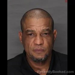 Mugshot of ROBERT FERNADEZ-ROMAN