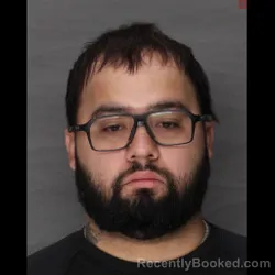 Mugshot of ANGEL DEJESUS