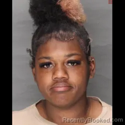 Mugshot of DAYKIECE SHEPPARD booked in Lebanon County, Pennsylvania on April 14, 2026