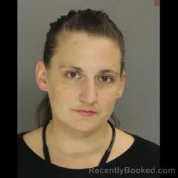 Mugshot of AMANDA LYNN KLINE booked in Lebanon County, Pennsylvania on June 3, 2026