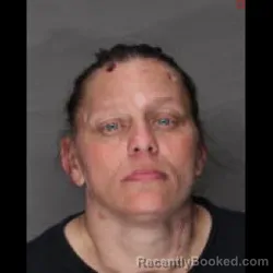 Mugshot of ALICIA M HEDGES booked in Lebanon County, Pennsylvania on June 14, 2026