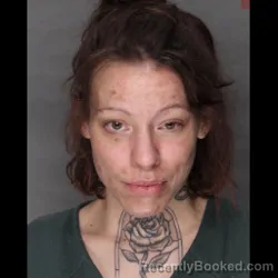 Mugshot of AMBER MARIE MOYER booked in Lebanon County, Pennsylvania on July 16, 2026