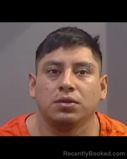 Mugshot of FERNANDO DOMINGO DOMINGO