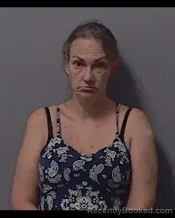 Mugshot of GINGER HANER