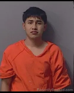 Mugshot of LUIS FERNANDO MENDEZ GOMEZ