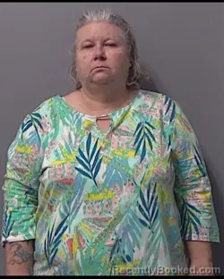 Mugshot of JANICE LYNN VICKERS