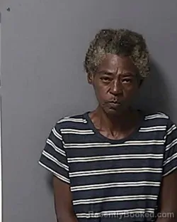 Mugshot of LILLIE MAE POUNCY