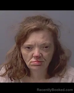 Mugshot of BRANDI MICHELLE STUDDARD booked in Calhoun County, Florida on April 24, 2026