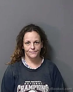 Mugshot of ANDREA RACHELL HATCHER booked in Calhoun County, Florida on June 22, 2026