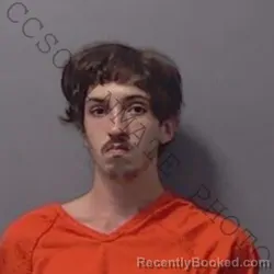 Mugshot of CHEYENNE FRITZ CARTER booked in Calhoun County, Florida on July 22, 2026